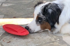Keiner spielt mit mir