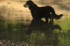 Riverfeeling